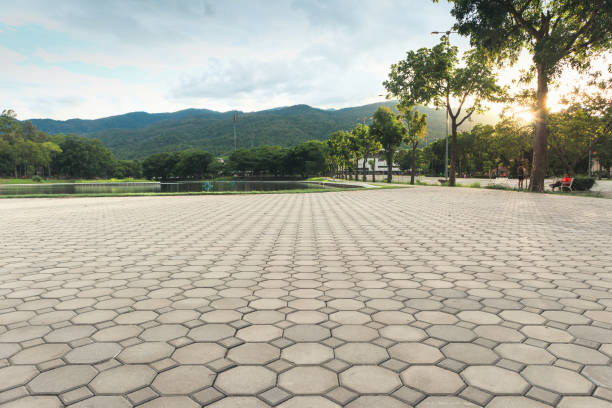 Best Concrete Paver Driveway  in Edgerton, MN